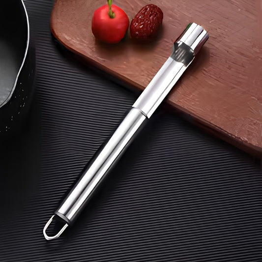 Vide pomme tout en acier inoxydable